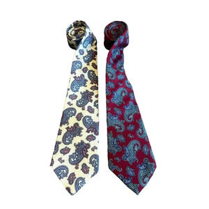Christian Dior Two Vintage Neck Ties Necktie Paisley Print Vintage 100% Silk Men
